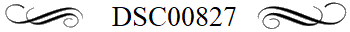 DSC00827