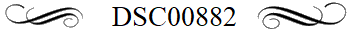 DSC00882