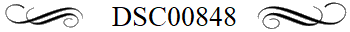 DSC00848